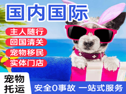南通兴东机场物流国际宠物托运 【国